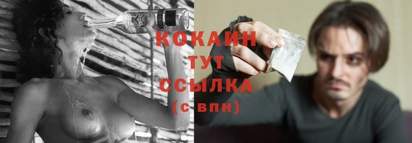 МДПВ Нефтегорск