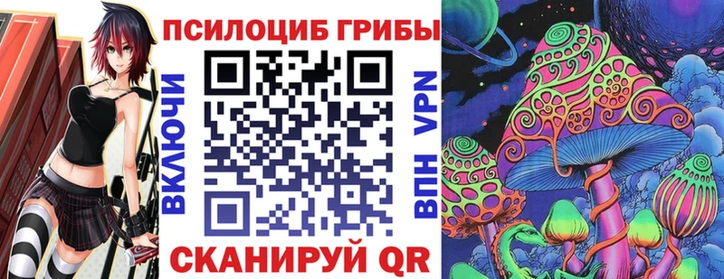 сколько стоит  Урень  Галлюциногенные грибы Psilocybe 